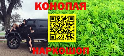 шишки Северобайкальск