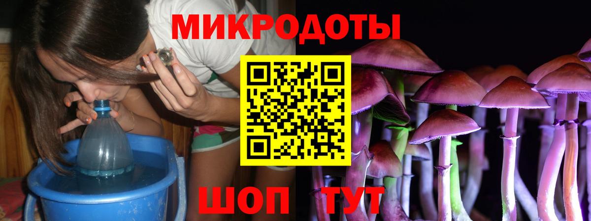 Сальск  Галлюциногенные грибы ЛСД  Вход с VPN 